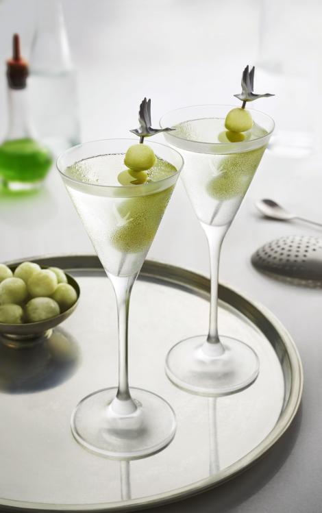 1456330740036-GREY_GOOSE_Martini_Exceptionnelle.jpg