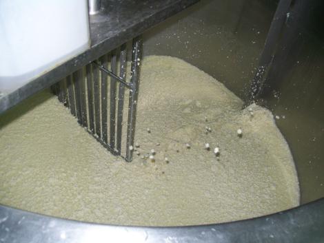 4_Preparacion_del_cuajado.JPG