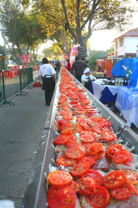 CORVINA_3.jpg