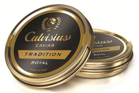 Calvisius-Tradition-Royal_1_.jpg