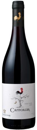 Cantoalba_Pinot_Noir_alta.jpg