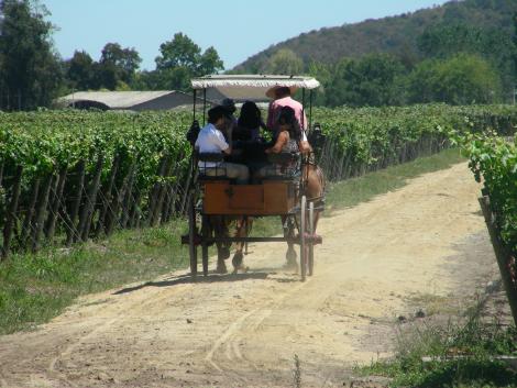 ENERO_2011_varias_salidas_119.jpg